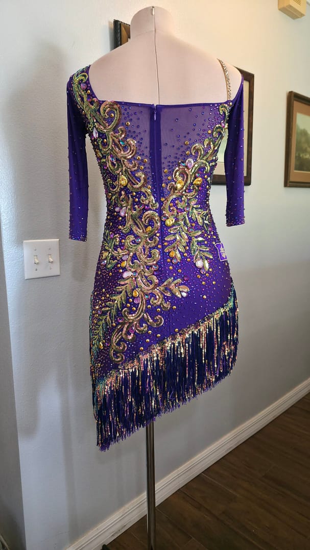 Back view of Velvet Velocity ballroom dress with sheer mesh panel, crystal embellishments, and asymmetrical fringe hemline.