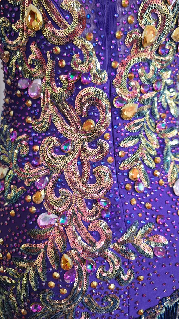 Close-up of Velvet Velocity featuring iridescent crystals, gold-tone stones, and multicolor sequin embroidery on purple fabric.