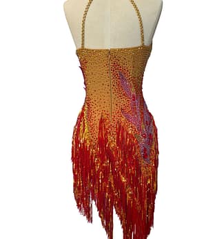 formal dress warehouse near me Tailor made Latin Rumba Salsa Dance Dress Rhinestones Red SD-LD04 – Smarts  Dance main image 0