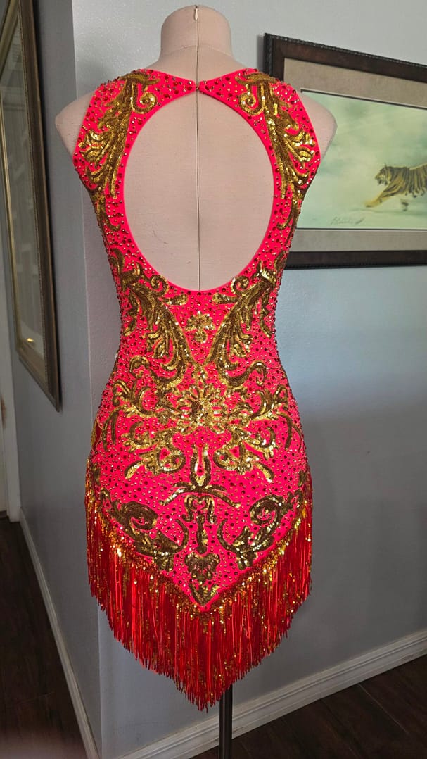 Back view of the Gilded Heat – Performance Series Latin dance dress showcasing a dramatic open-back design, gold sequin appliqué, rhinestone embellishments, and layered fringe.