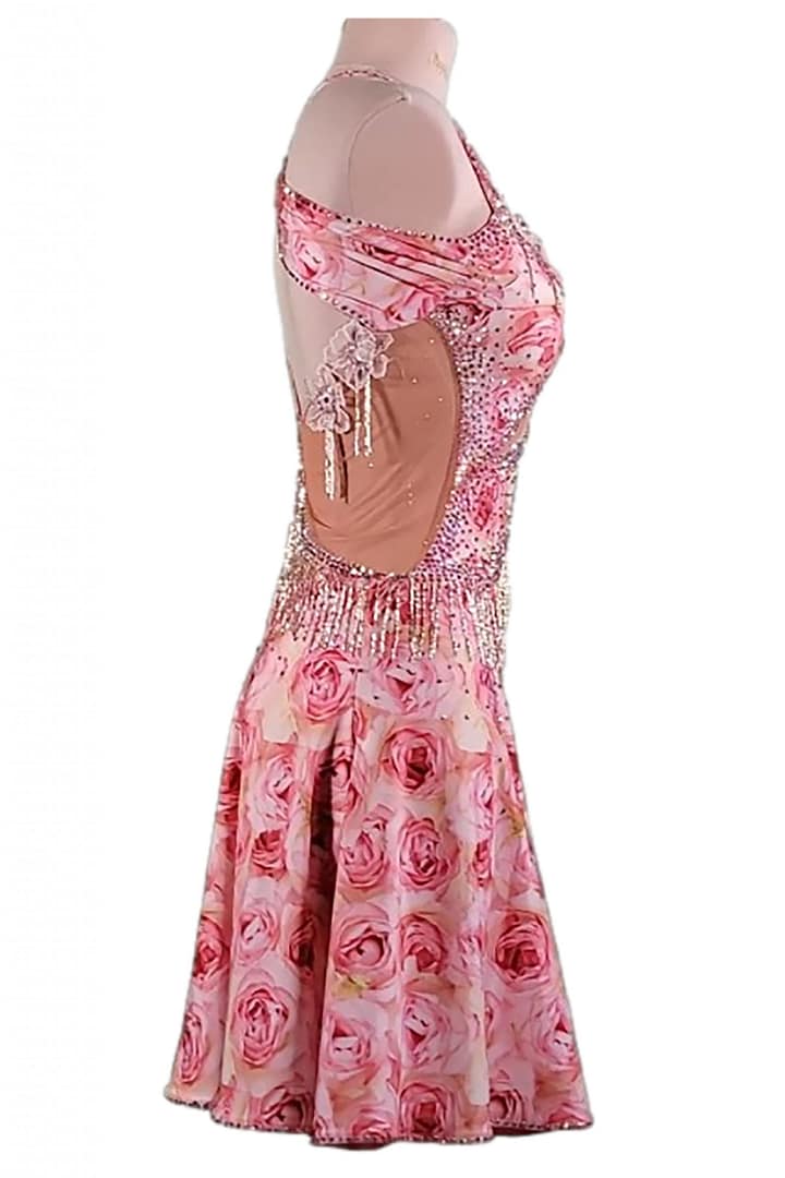 Radiant Tempo Latin Dress side view one-shoulder design with nude illusion panel, floral appliqués and crystal tassel fringe
