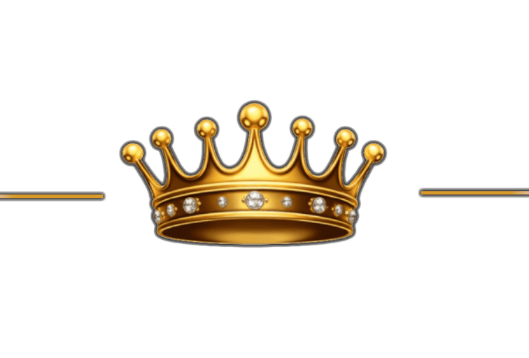 Premium finish icon