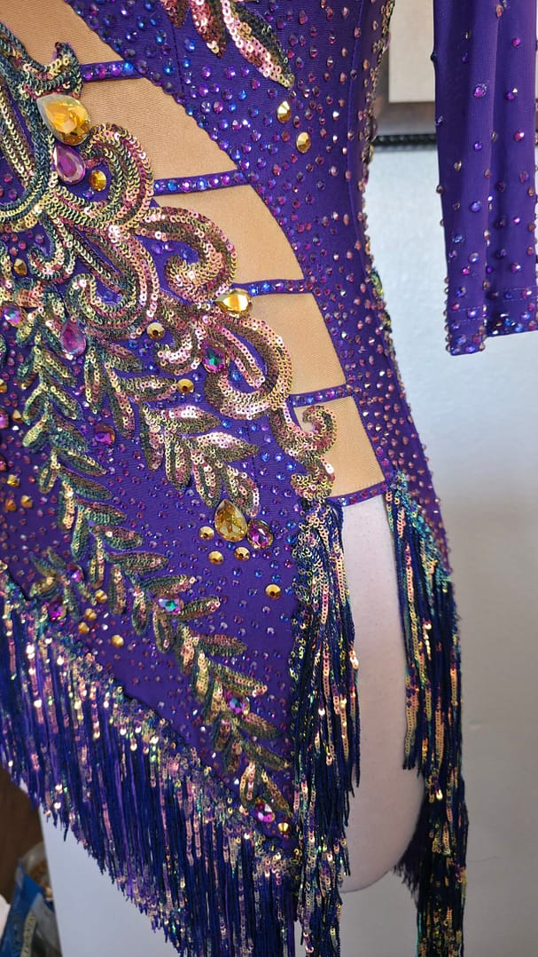 Detailed view of Velvet Velocity nude illusion side cutouts accented with rhinestones and intricate sequin embroidery.