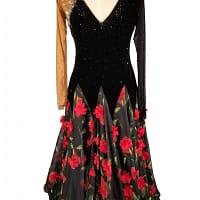 Fia ballroom gown — back view — The black and tan long-sleeved dress is shown from the back. It features a deep V-cut backline on the black velvet bodice. The skirt is black sheer fabric with red rose appliqués, continuing the theme from the front.