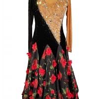 Fia ballroom gown — front view — A Standard dress featuring a V-neck black velvet panel on the bodice contrasting with a sheer tan mesh panel covered in large iridescent crystals. The full skirt is black with striking red floral appliqués and print.