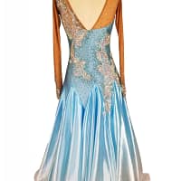 Cashay designer Ballroom dress | Bluesky Back