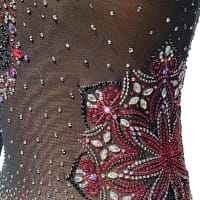 Fawn Latin Dress — stonework close-up — intricate red, black, and AB crystal floral appliqué pattern on nude-lined black mesh
