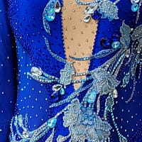 Zinnia ballroom gown — stonework detail — close-up of sapphire blue fabric, large teardrop crystals, and intricate silver beaded floral embroidery.