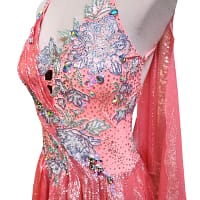 Ziva Ballroom Dress — bodice detail — hand-applied floral applique with multi-color crystals