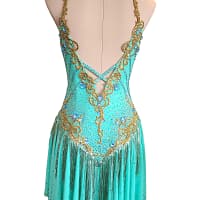 Ashcroft Latin dress - back view - Teal fabric, gold appliqué, open V-back, and fringe skirt.