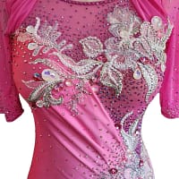 Gia Latin dress — bodice detail — ruched front bodice featuring intricate silver floral appliqué, crystal beadwork, and sheer pink mesh sleeves.