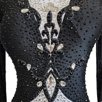 Lauren ballroom gown — bodice detail — close-up — Detailed shot of the bodice showing black velvet contrasted with white stoned fabric, adorned with bold black scrollwork appliqué and large clear crystals.