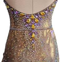 Lily Latin Dress — stonework close-up — intricate pattern of yellow, purple, and AB crystals on the low back of the dress