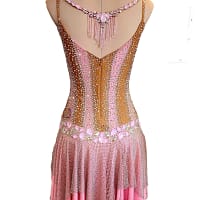 Seraphina Latin dress back view — blush pink gown with open-back design and crystal mesh detailing.