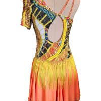 Sabrina Latin dress — back view — matching bead pattern with fringe detailing