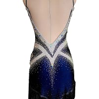 Arlan Latin dress — back view — low V-back navy Latin dress with crystal trim and a skirt of dense, black dangling fringe.