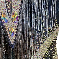 Arlan Latin dress — stonework close-up — detailed view of iridescent tear-drop crystals, black beads, and silver fringe against dark blue fabric.