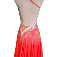 Sola Latin dress— back view — low back with mesh