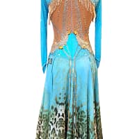 Hadley ballroom gown — back view — open back with heavy crystals and gold fringe accents