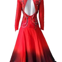 Kalaida ballroom gown — back view — open-back design with crystal appliqué and ombré ballroom skirt