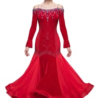 Amira Ballroom dress - front view — full-length gown with long sheer sleeves, fitted bodice, and elegant feather wrist accents.
