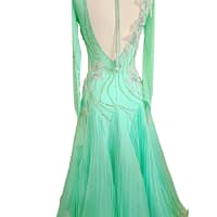 Calla ballroom dress — back view — low V-back with pleated georgette skirt and asymmetrical flower shoulder detail.