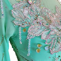 Calla ballroom dress — bodice detail — close-up of white lace appliqué on mint mesh with hanging crystal strands.