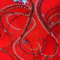 Kalaida ballroom gown — bodice detail — intricate red and AB crystal stonework
