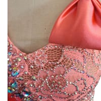 Rose Reverie bodice close-up showing crystal embellishments on blush lace fabric