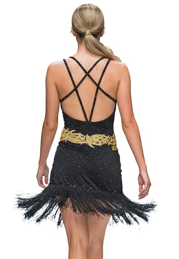 Radiant Obsidian Latin Dress — back view — low back with mesh