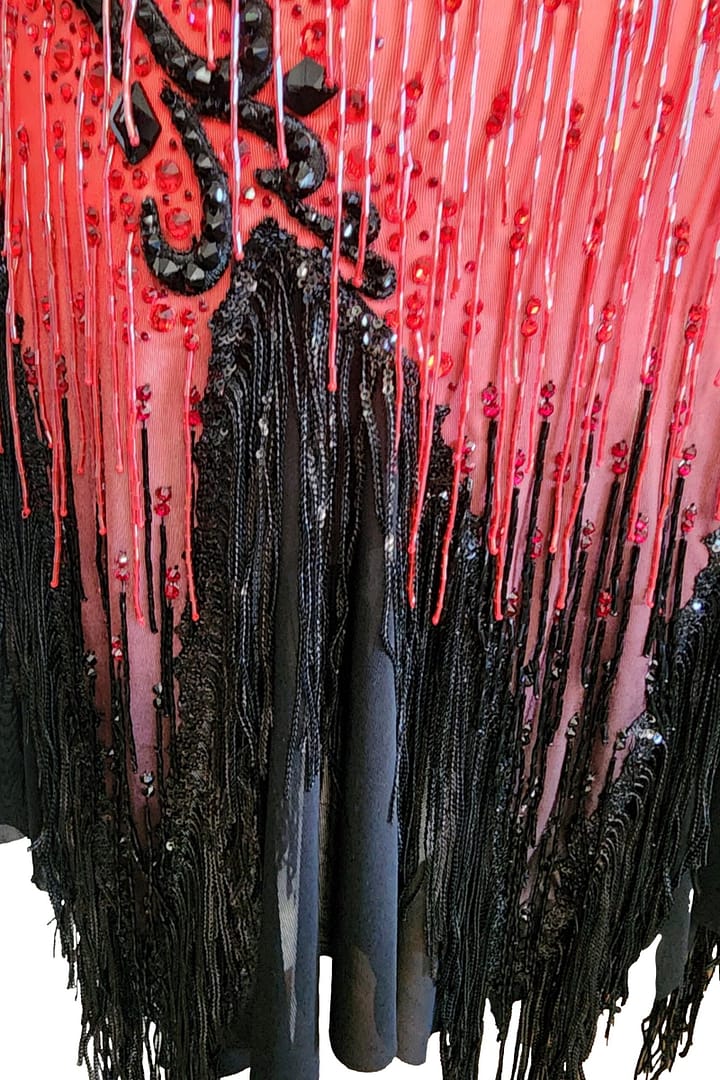 Nyla Latin dress — skirt detail — red and black fringe with sequin accents and black appliqué.