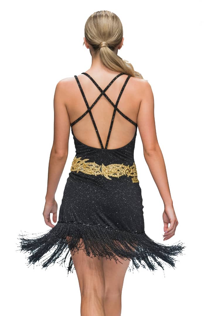 Radiant Obsidian Latin Dress — back view — low back with mesh