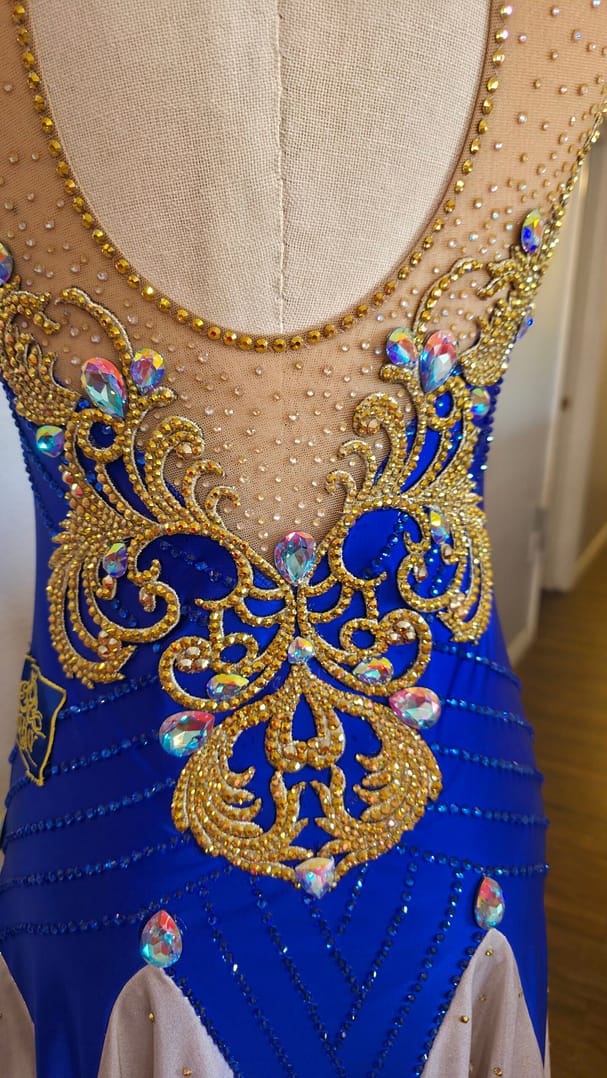 Royal Aurum Dress back detail featuring gold appliqué and rhinestones on illusion mesh
