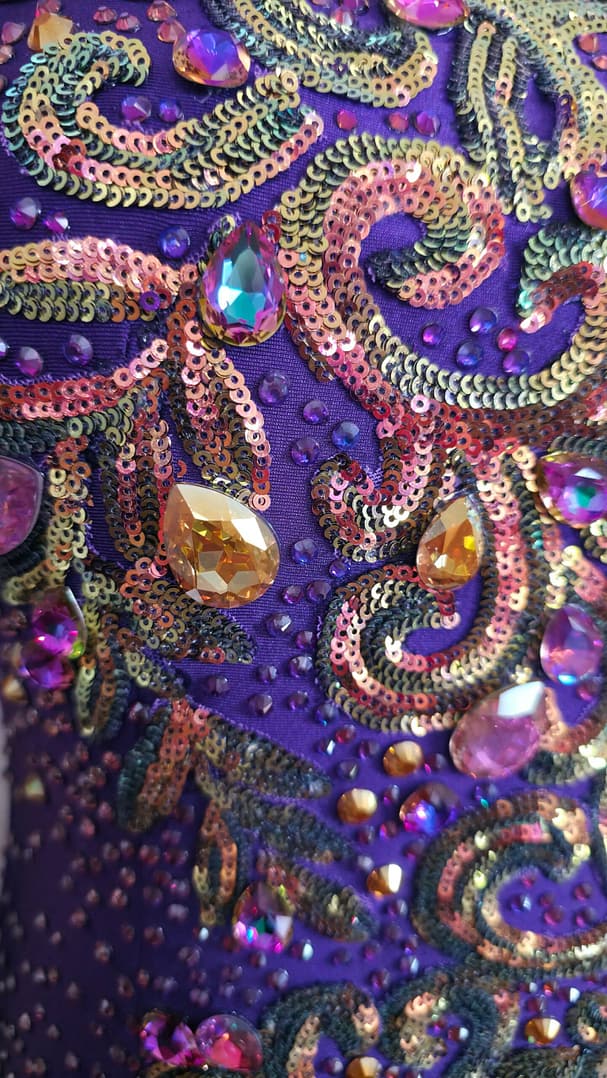Close-up of Velvet Velocity back design showcasing crystal embellishments, sequined appliqué, and sheer mesh panel.