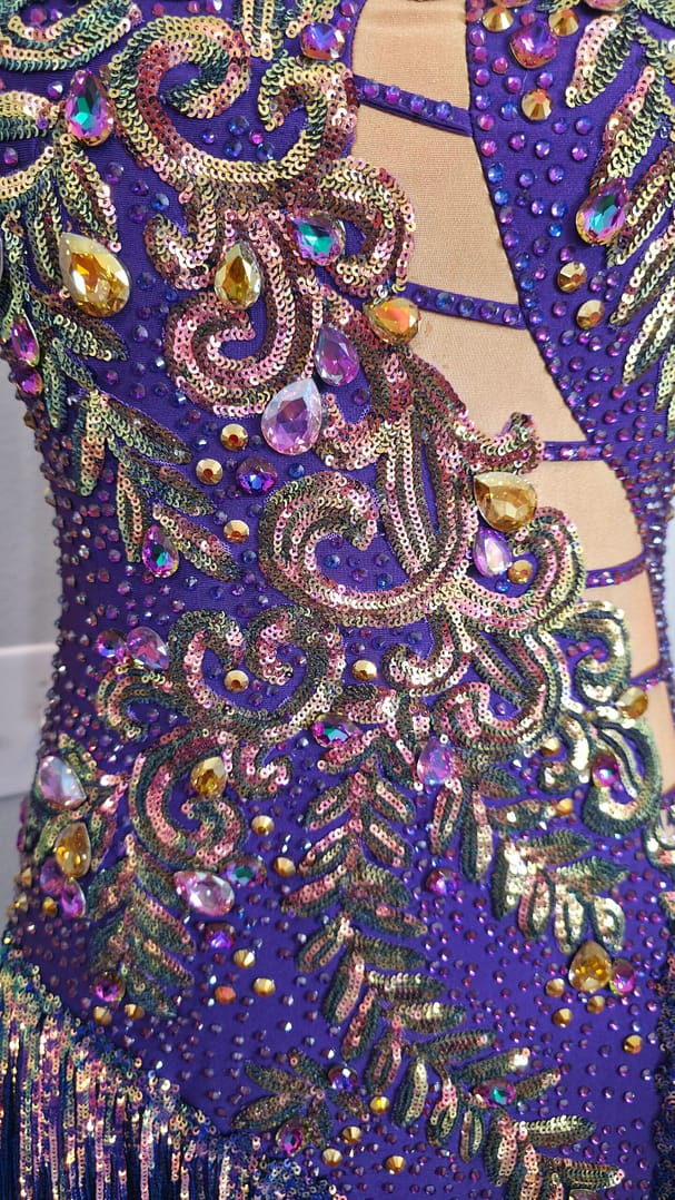 Detailed embroidery of Velvet Velocity with swirling sequin patterns, rhinestones, and luxurious Latin dance dress craftsmanship.