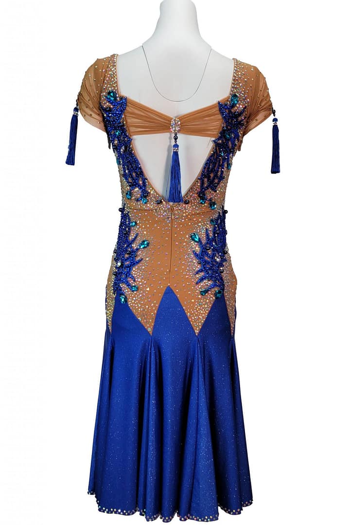 Narnia Latin Dress – back view with open back design, tassel detail and blue appliqué